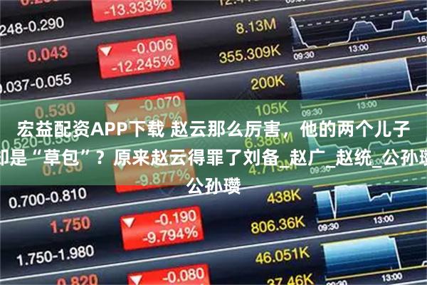 宏益配资APP下载 赵云那么厉害，他的两个儿子却是“草包”？原来赵云得罪了刘备_赵广_赵统_公孙瓒