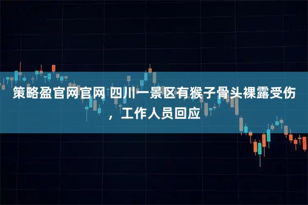 策略盈官网官网 四川一景区有猴子骨头裸露受伤，工作人员回应