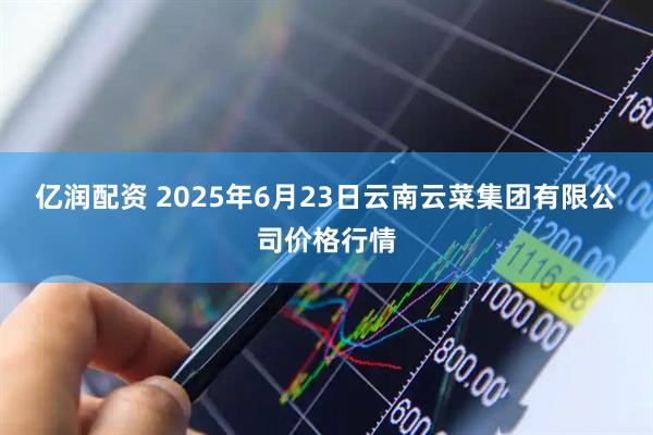 亿润配资 2025年6月23日云南云菜集团有限公司价格行情