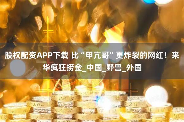 股权配资APP下载 比“甲亢哥”更炸裂的网红！来华疯狂捞金_中国_野兽_外国