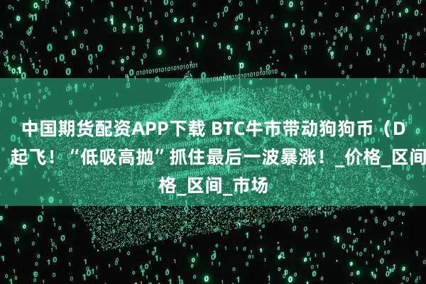 中国期货配资APP下载 BTC牛市带动狗狗币（DOGE）起飞！“低吸高抛”抓住最后一波暴涨！_价格_区间_市场